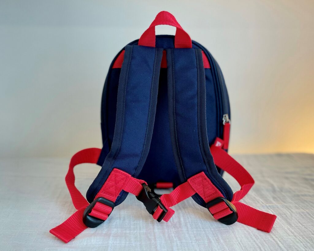 Zip and Zoe mini backpack in navy colourblock - back view