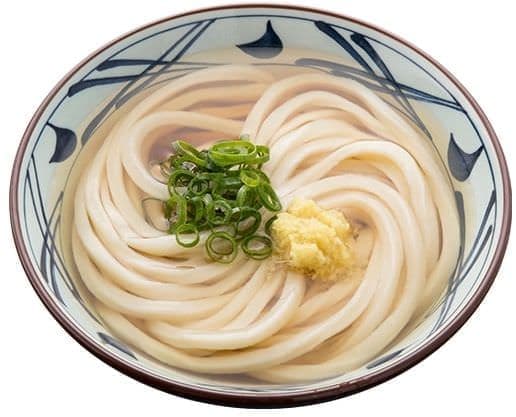 Kake udon noodles in soup