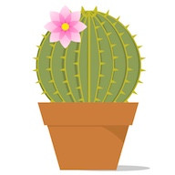 Site Icon - Cactus Flower Size 192 PNG