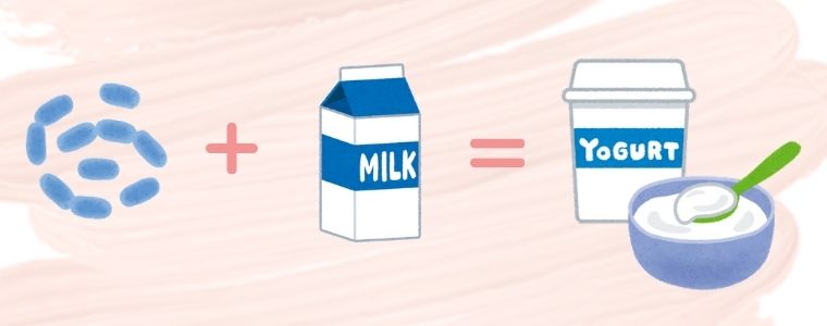 Yogurt Making Process illustration